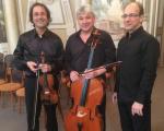 Koncert kamernog orkestra  Trio Amael 