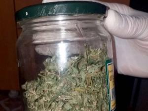 Kod Aleksinčanina pronađeno više od 860 grama i 75 semenki marihuane