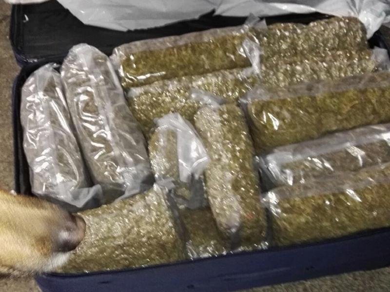 Kofer sa 20 kg marihuane carinici otkrili na Merdaru
