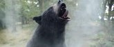 Kokainski medved – istinita priča o medvedu koji je progutao kesu kokaina