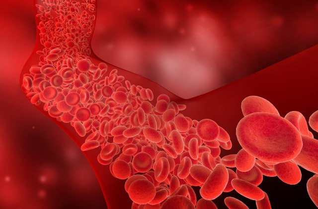 Koliko je važno zdravlje krvnih sudova i kako ih vežbati? VIDEO
