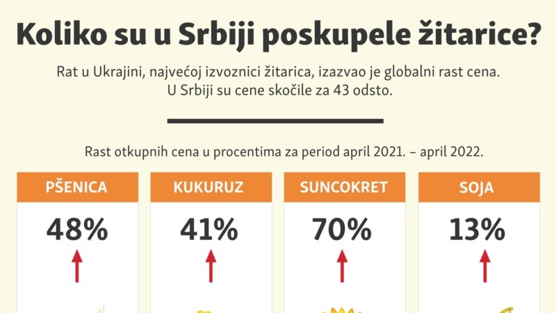 Koliko su u Srbiji poskupele žitarice?