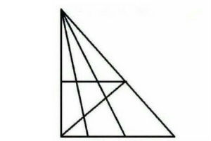 Koliko trouglova možete da nađete? Ako je vaš odgovor OVA BROJKA, onda vam je IQ viši od 120!