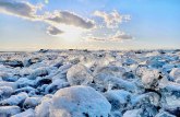 Komadi leda poput dragulja prekrivaju obalu ostrva Hokaido