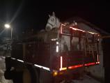 Konji iz kamiona kod Vlasotinca na bezbednom, u pomoć tokom noći stigli i volonteri Zoo planeta