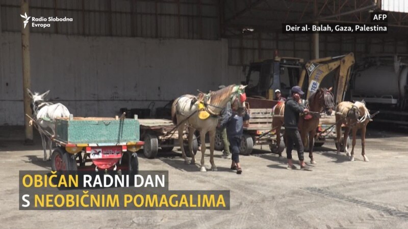 Konji s manirima: Okolišna inicijativa u Gazi