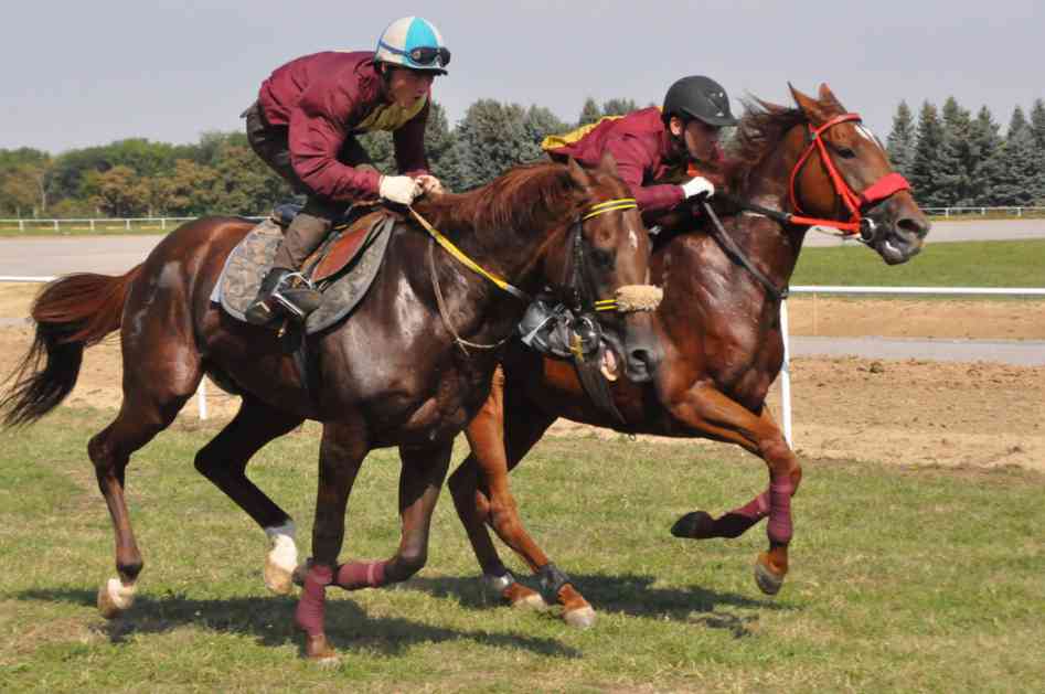 Konjičke trke za vikend u Karađorđevu