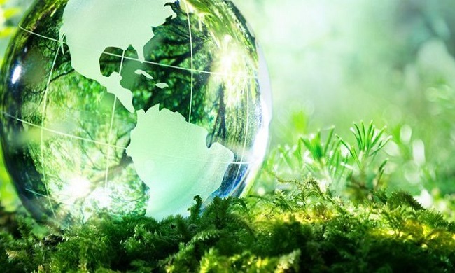 Konkurs za podršku NVO u oblasti zaštite životne sredine