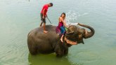 Korona virus, Azija i turizam: Organizatori safarija prodaju slonove da bi sastavili kraj s krajem
