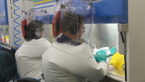 Korona virus: Naučnici u Australiji započeli testiranje mogućih vakcina