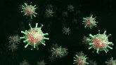 Korona virus: Šta naučnici još ne znaju o virusu Kovid-19 h