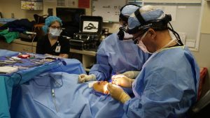 Korona virus i lepota: Estetski hirurzi tokom pandemije imaju pune ruke posla