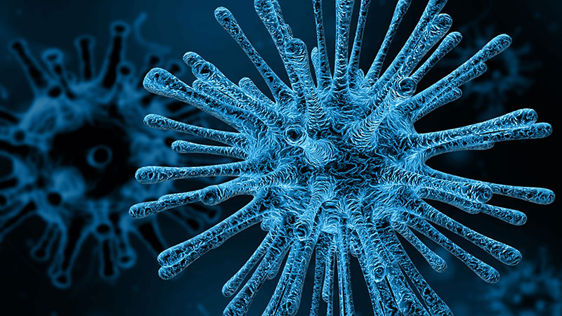 Koronavirus potvrđen kod još 82 osobe, ukupno 741