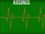 Kosinus: Referendum o Kosovu poraz treba da pretvori u pobedu
