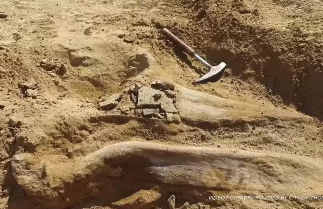 Kostur dinosaurusa star 66 miliona godina otkriven u Denveru