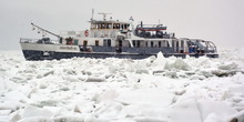 Iz Mađarske stiže novi led, kod Dalja već dva miliona kubika