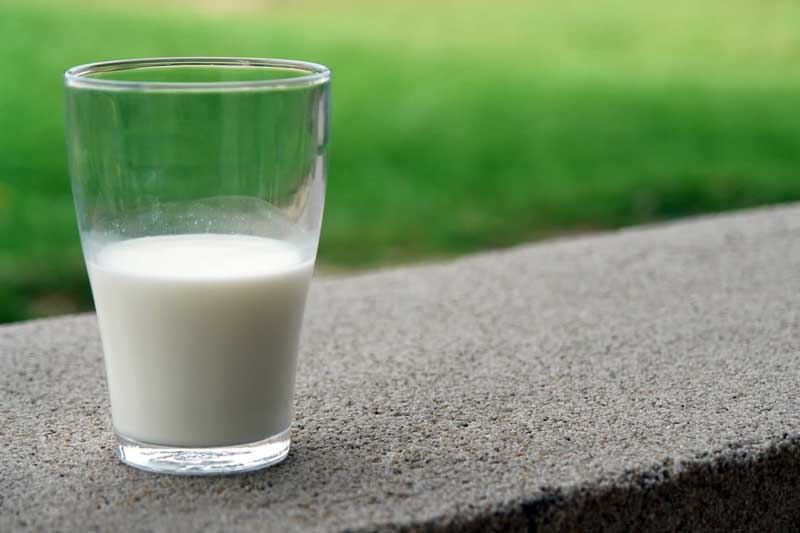 Kozje mleko je savršen izbor za vaš duh i telo!