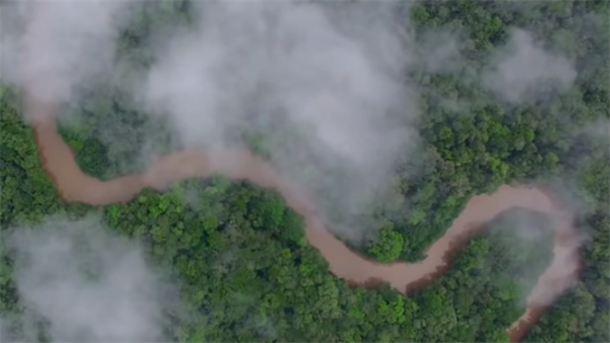 Krčenje Amazonije: Brazil ljut - ne trebaju nam Nemci!