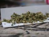 Krivična prijava protiv Vranjanca zbog posedovanja manje količine marihuane