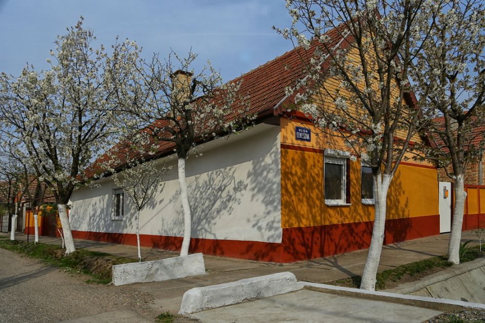 Krkobabić: Na Vidovdan konkurs za dodelu seoskih kuća