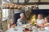Kroz prozor hotelske sobe možete da hranite žirafe, kao i da spavate sa lavovima FOTO