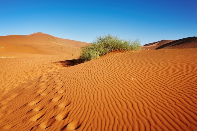 Krugovima smrti niko ne sme da se približi: Misterija najstarije pustinje sveta