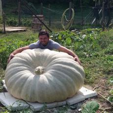 Krunoslav iz zemlje iščupao diva od 440 kilograma: Visok je preko 4,5 metra (FOTO/VIDEO)