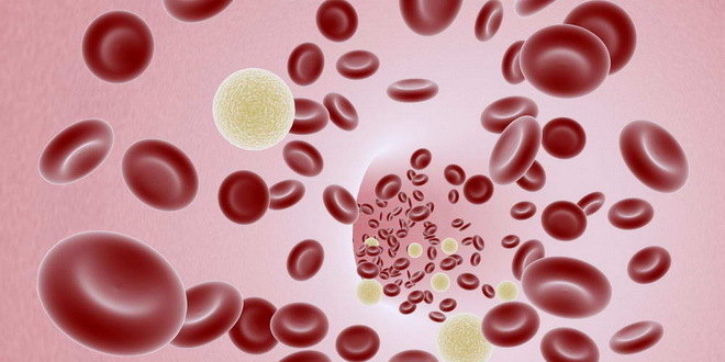 Krvna plazma rekonvalescenata ne koristi obolelima od kovida