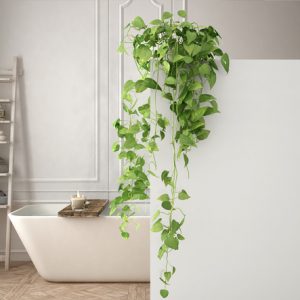Kupatilo sa biljkama: Novi trend za kupatilo kao sa Pinteresta