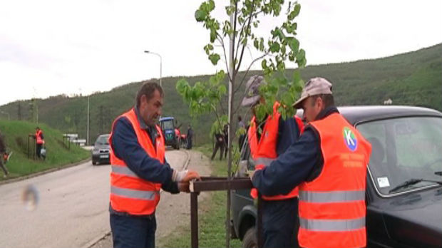 Kuršumlija: Jedni sade, drugi lome