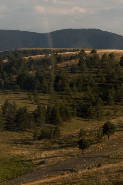L&Z raport sa Međustanice: Bili smo na otvaranju Gondola Ethno Vibe festivala i evo zašto bi trebalo i vi da ga posetite