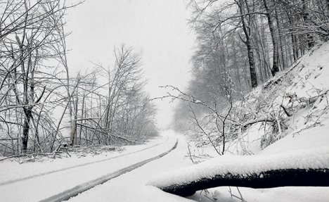 LEDENI TALAS U SRBIJI: Evo kad će pasti prvi sneg! A za Novu godinu...
