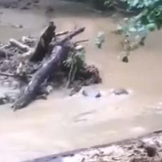 LJIŠKA SELA BLOKIRANA POSLE OBILNIH PADAVINA: Bujica nosila i drveće, meštani ne pamte ovoliku vodu (FOTO)