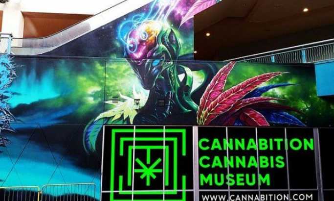 Las Vegas dobio muzej marihuane