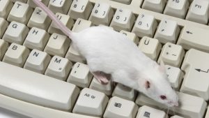 Lažne vesti i istinski saveznici: Borba u kojoj miševi mogu da nam pomognu