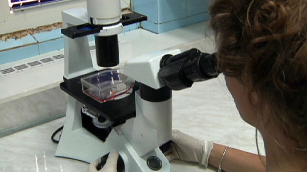 Lečenje matičnim ćelijama - tema naučnog skupa u Krgujevcu