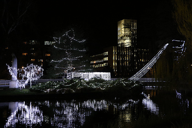 „Ledena šuma“ i ove zime u Dunavskom parku