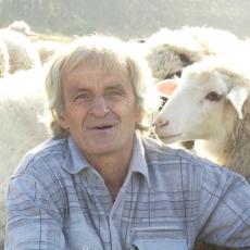 Lepa slika iz srpskog sela: Stado Ljubivoja iz Dragačeva još se širi, ovce mu ojagnjile 80 jagnjića