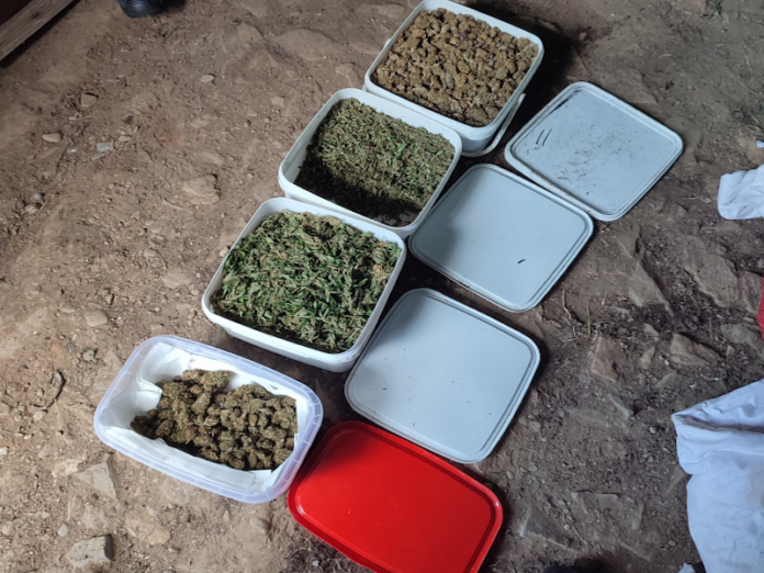 Leskovčanin u kanti skrivao skoro pola kilograma marihuane
