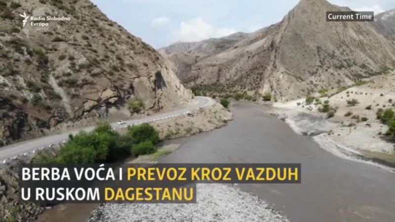 Leteće voće: Ručno pravljene žičare pomažu žetvu u Dagestanu