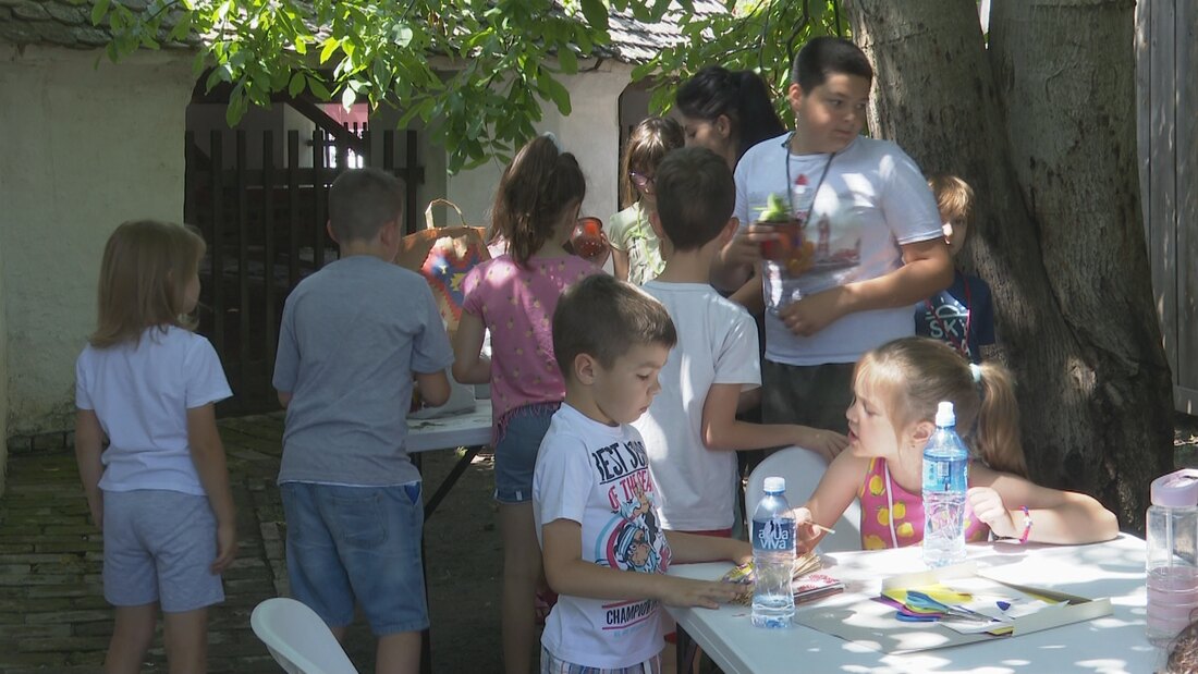 Letnji kamp za decu na prostoru kikindske Suvače