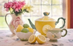 
					Limun dijeta za čišćenje organizma i gubitak težine 
					
									