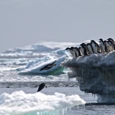 Lome se glečeri, pingvini nestaju, a temperature obaraju rekorde: Šta se to događa sa Antarktikom?