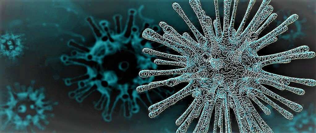 Lončar: U Srbiji nema zaraženih novim korona virusom, sezonski grip jači; Lažne informacije na društvenim mrežama