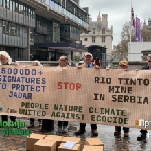 London: Koalicija domacih i medjunarodnih organizicija protiv projekta rudnika Rio Tinta u Jadru