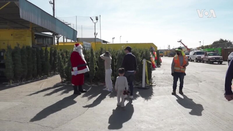 Los Anđeles: Božićne jelke besplatne u zamenu za smeće