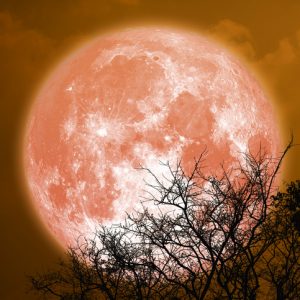 Lunarni kalendar za 2023. godinu: Kako će Mesec uticati na naše živote?