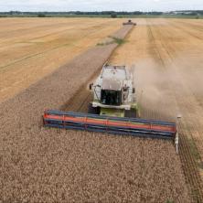 MA DA LI JE OVO MOGUĆE? Saveznici Ukrajini okreću leđa: Nema otvaranja granica za njihovo žito (VIDEO)