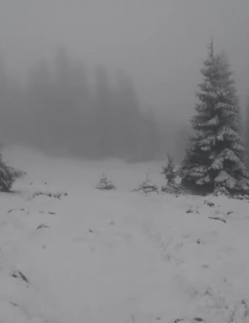 MAJSKI SNEG Vlašić osvanuo pod belim pokrivačem, temperatura u minusu VIDEO