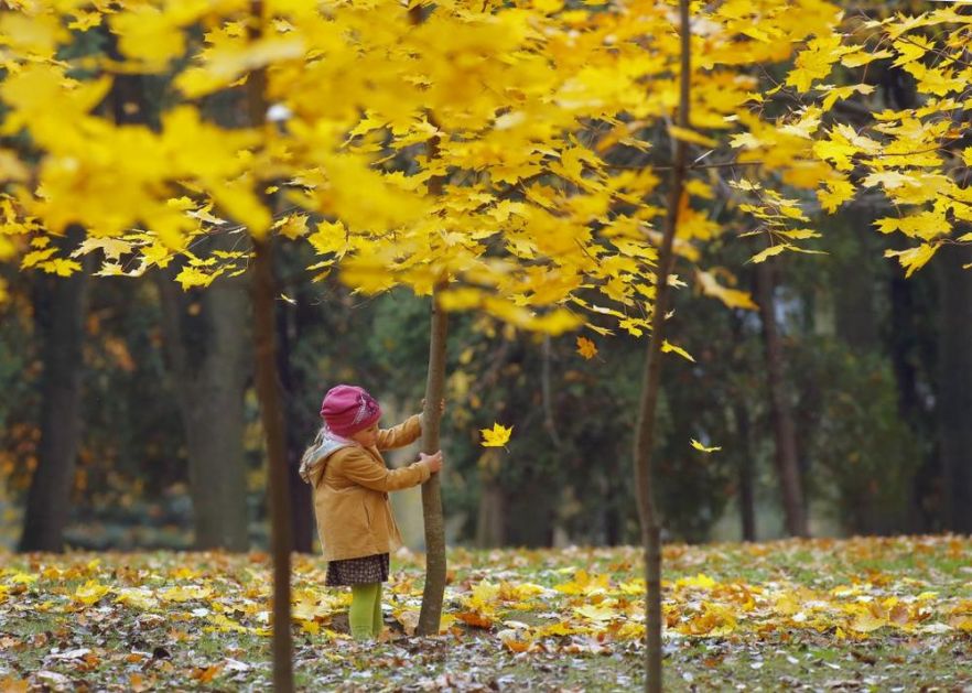 MIHOLJSKO LETO ZAŠLO I U NOVEMBAR! Biće sunčano i suvo do 15. u mesecu, a onda nećete hteti da izađete iz kuće!